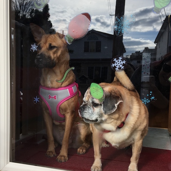 Hi we’re the true Poshers in this account. - Picture 2 of 3